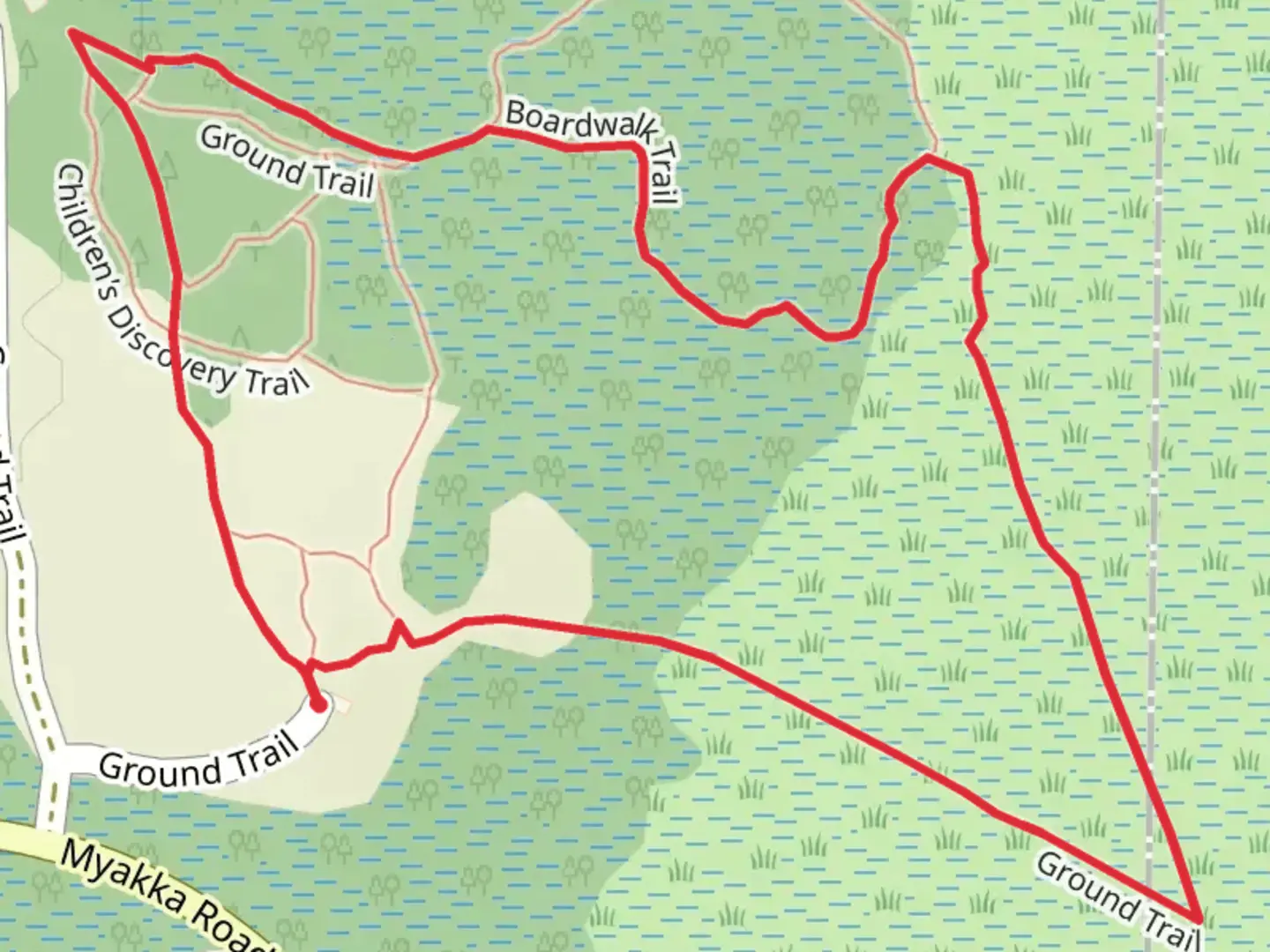 An image depicting the trail Pine Level - Boardwalk - Ground Loop Trail and its surrounding area.