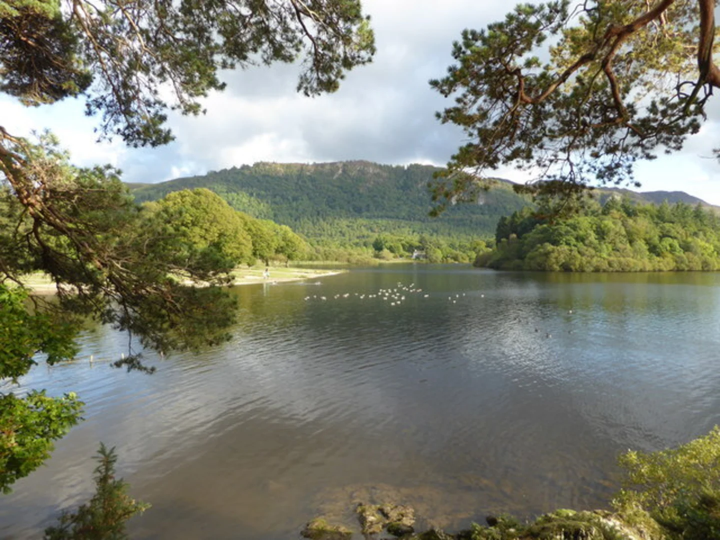An image depicting the trail Friar's Crag Loop and its surrounding area.