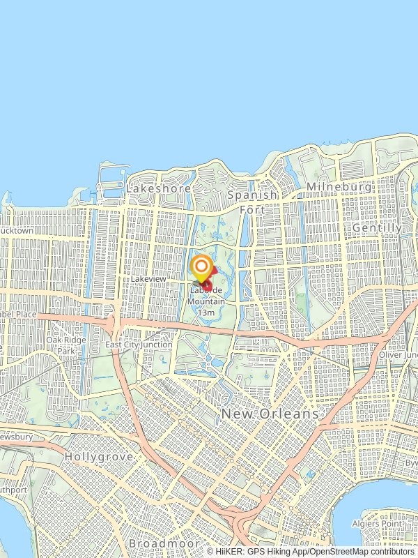 Couterie Forest Loop