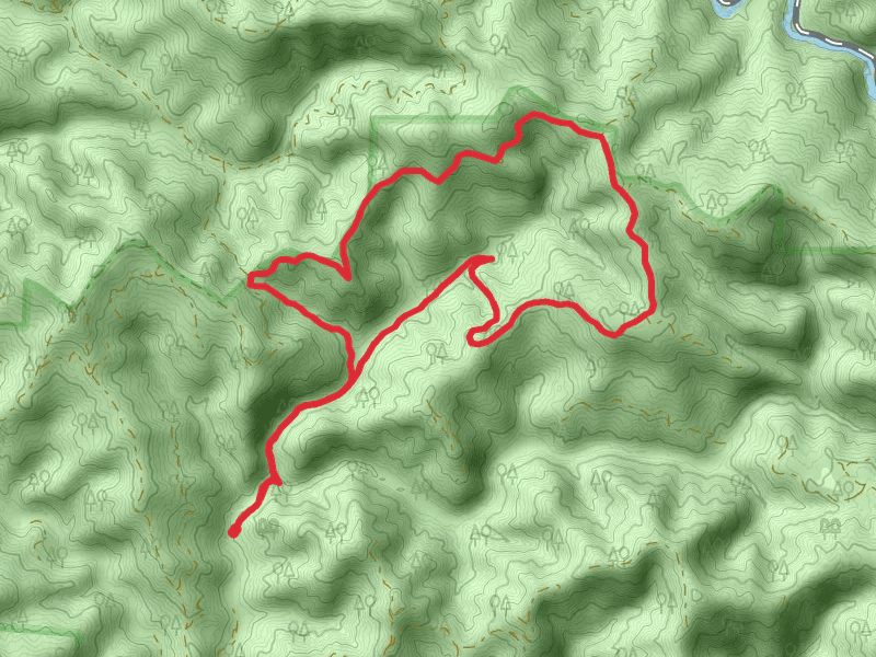 Riley Ridge Road and Brandon Gulch Loop Trail
