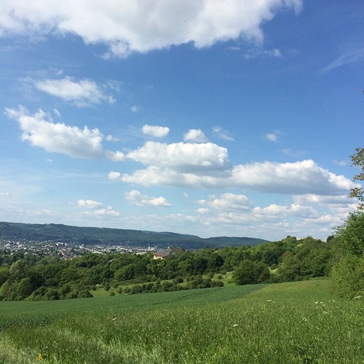 Mariahof and Mattheiser Wald Rundweg Loop