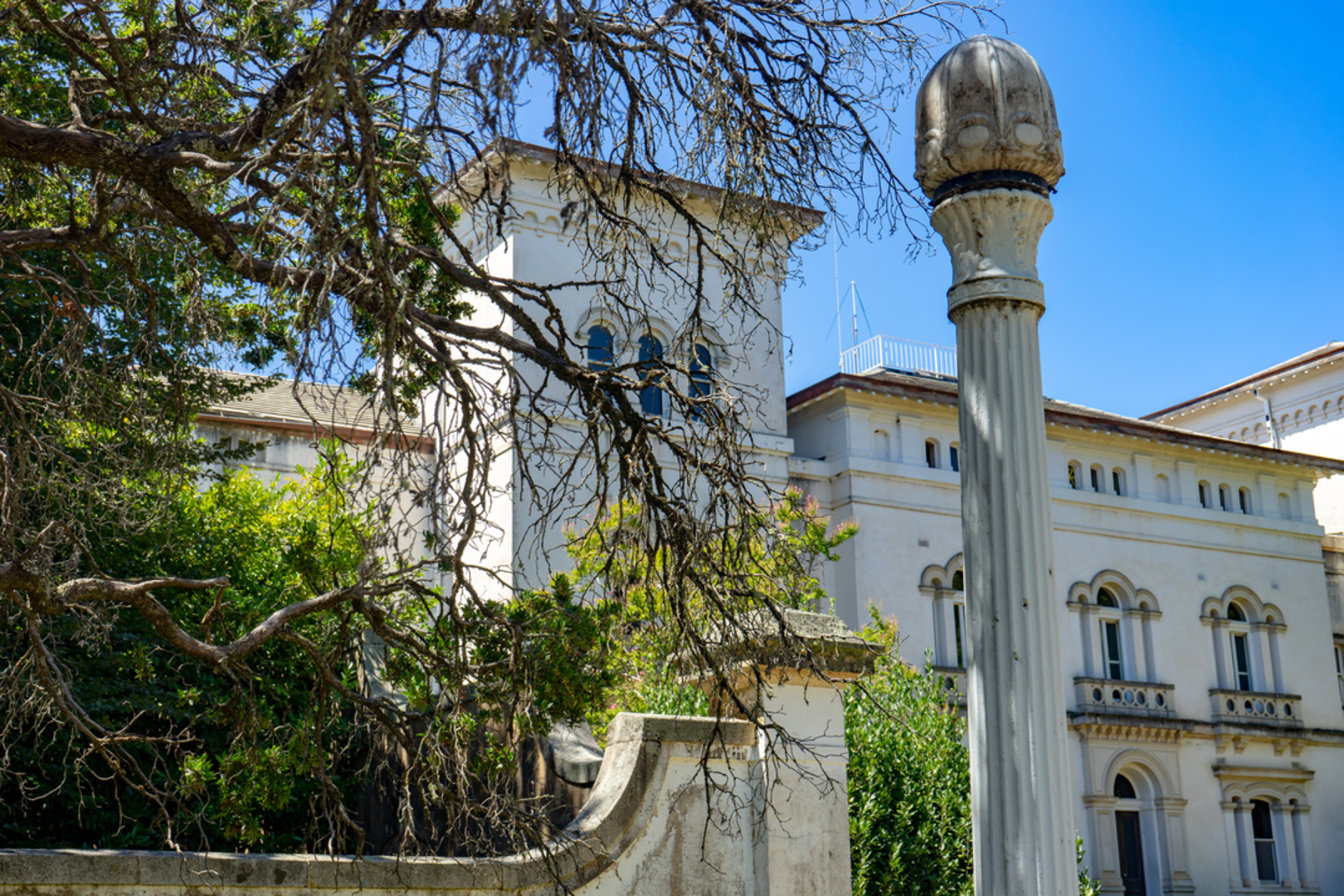 An image depicting the trail Mayday Hills Tree Walks - Ha - Ha Wall Walk and its surrounding area.