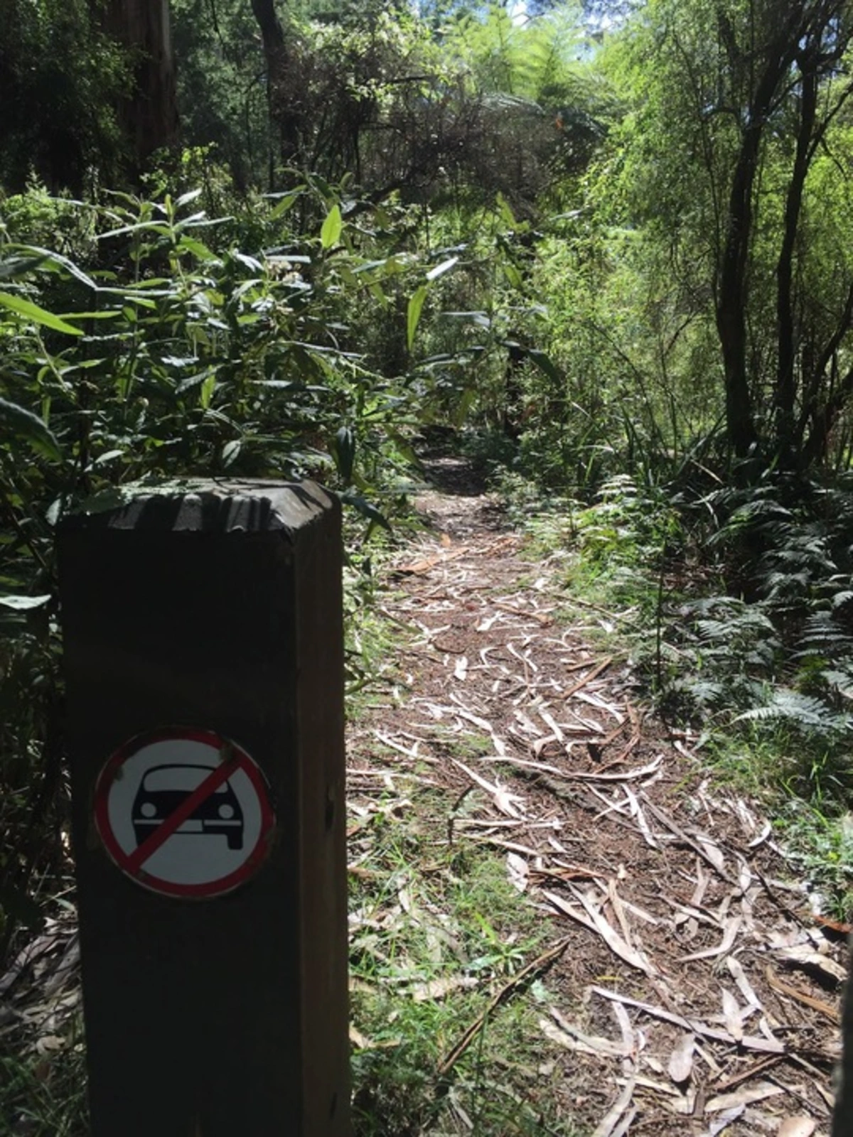 Four Brothers Rocks Trail