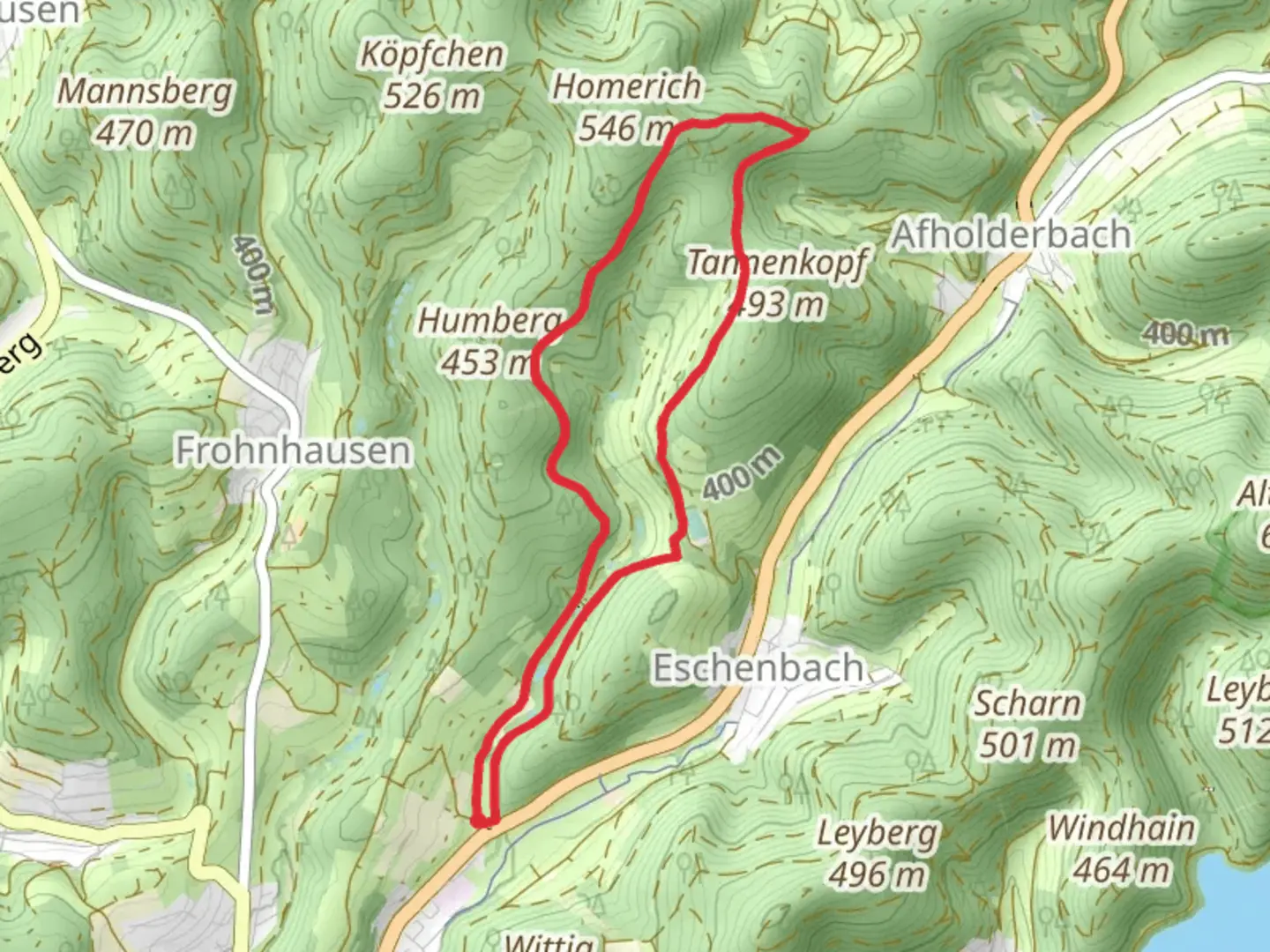 An image depicting the trail Tannenkopf Loop and its surrounding area.