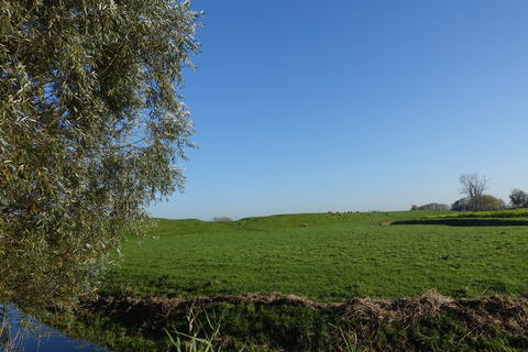 Garnwerd, Feerwerd and Medenertilsterpolder Loop