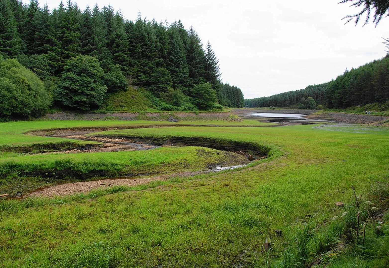 An image depicting the trail Bradshaw Brook, Wayoh Reservoir and Turton and Entwistle Reservoir Loop and its surrounding area.