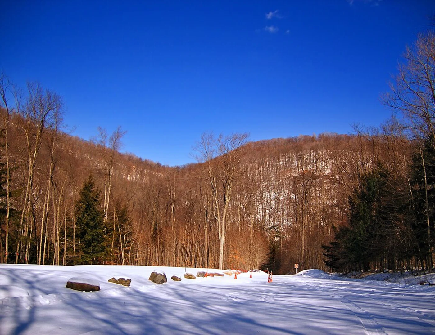 An image depicting the trail Cold Run Loop Trail and its surrounding area.