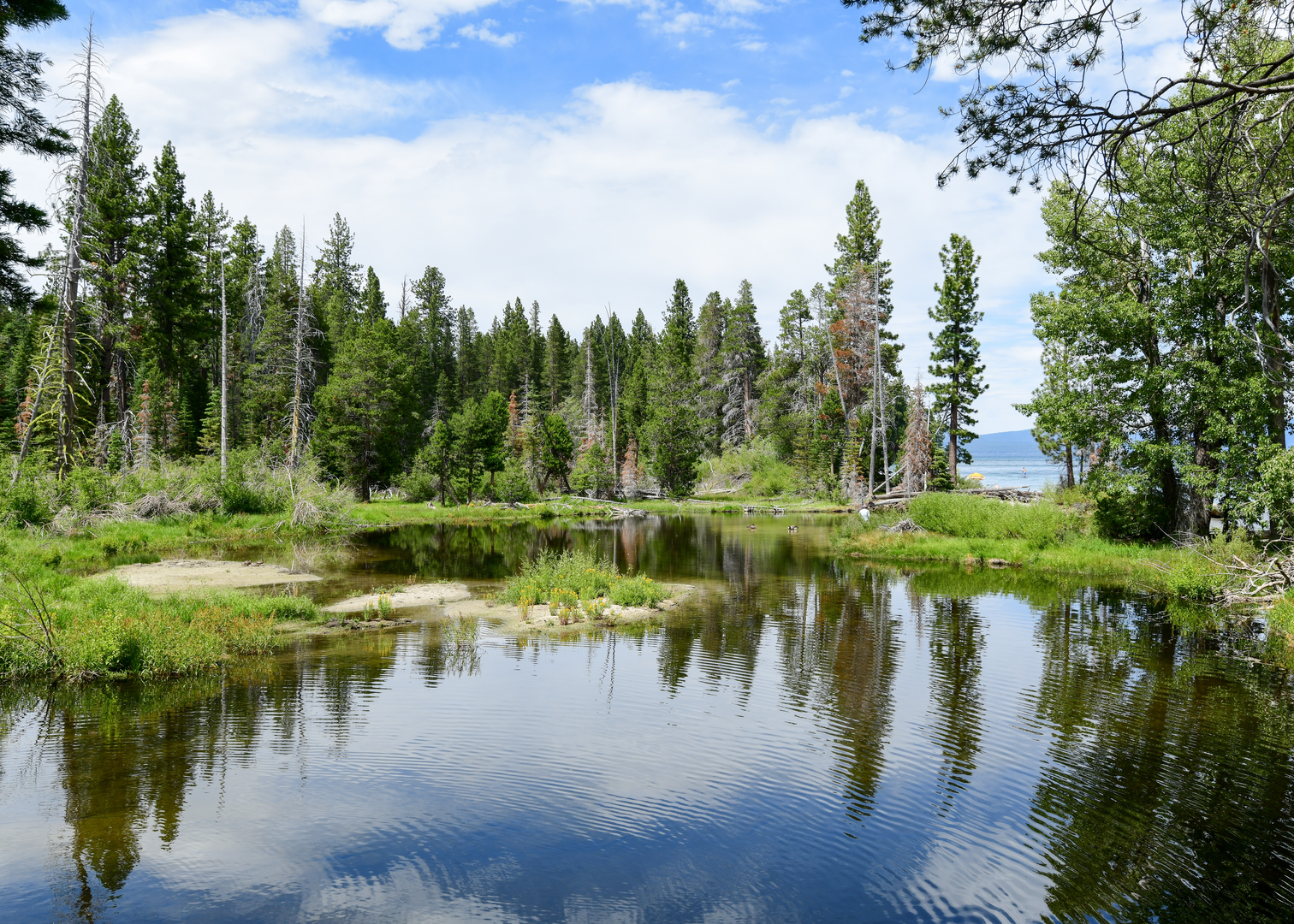 An image depicting the trail General Creek Loop and its surrounding area.