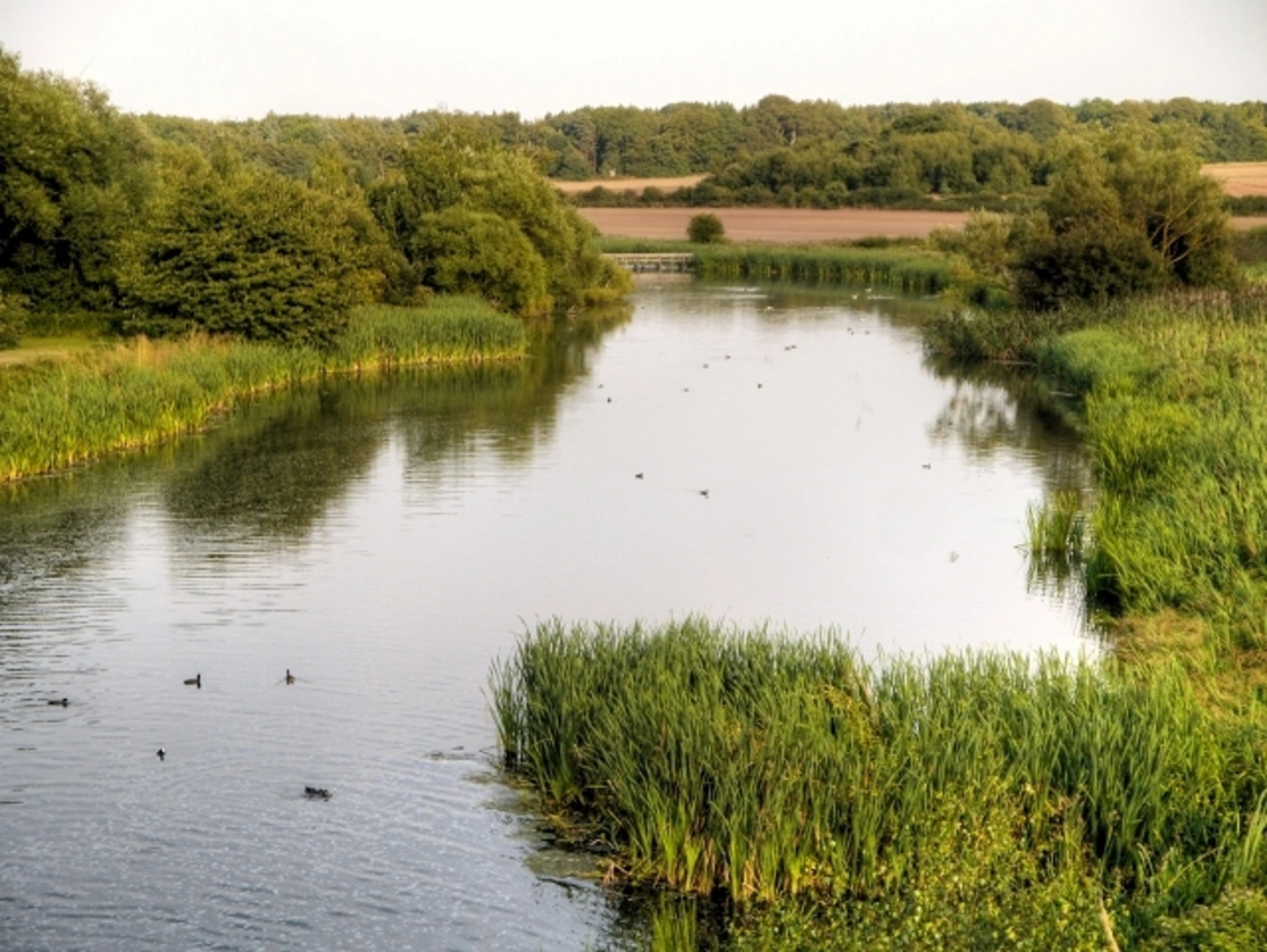 An image depicting the trail Clumber Country Park Loop and its surrounding area.