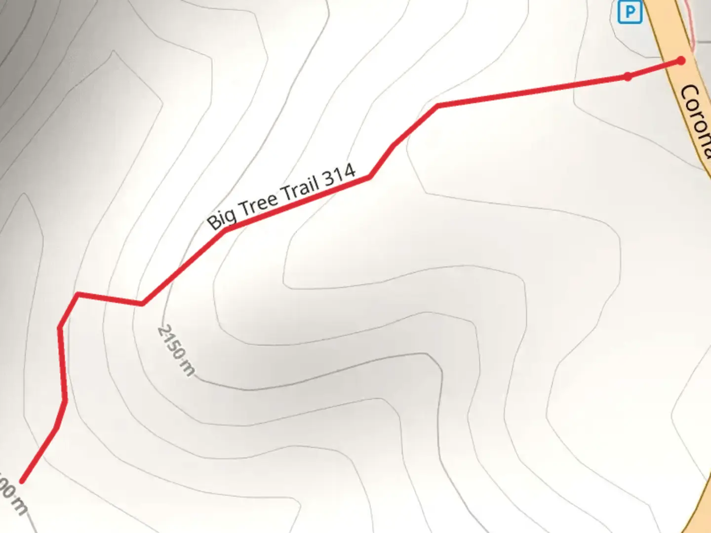 An image depicting the trail Big Tree Trail and its surrounding area.