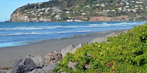 An image depicting the trail Taylors Mistake to Sumner Beach Coastal Walk and its surrounding area.