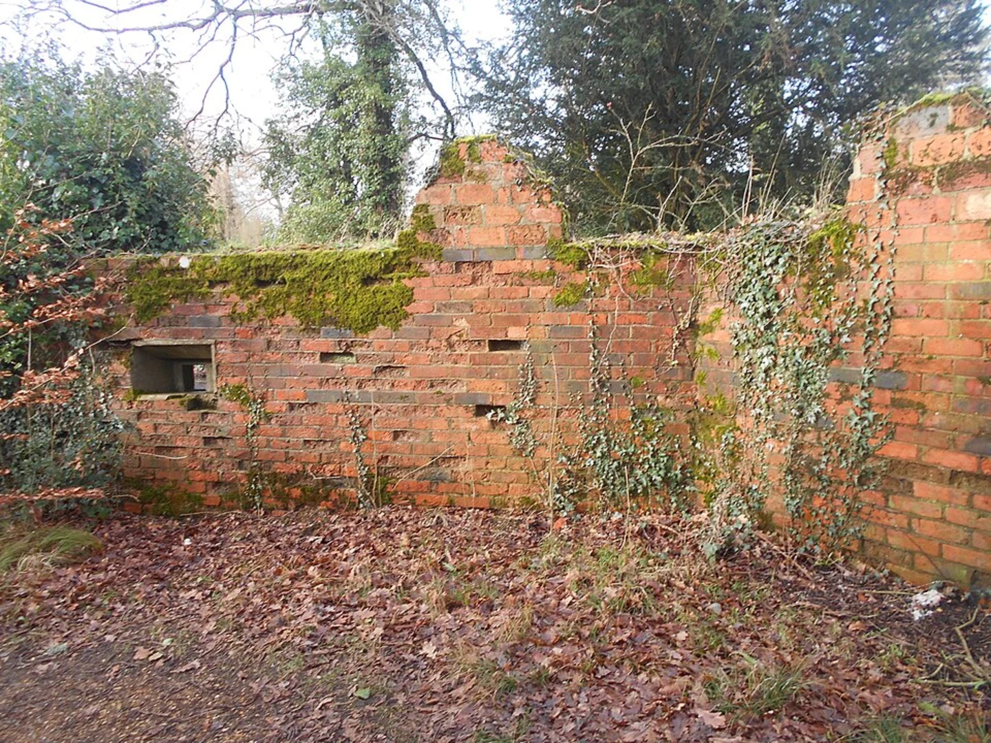 An image depicting the trail Tilford via Medieval Waverley and its surrounding area.