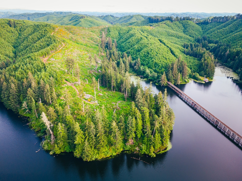 An image depicting the trail Tahkenitch Dunes Trail and its surrounding area.