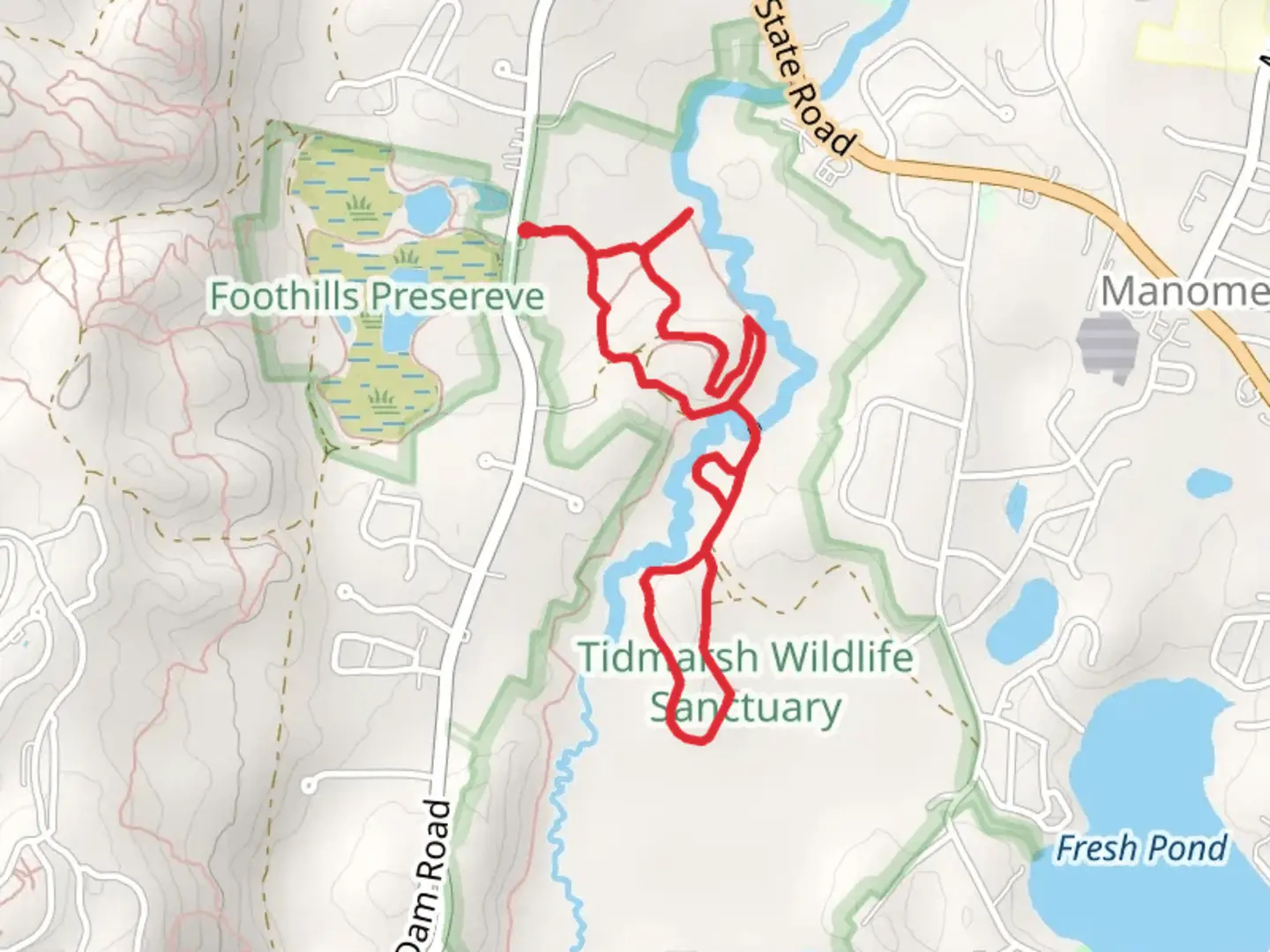 An image depicting the trail Cranberry Bogs Loop and its surrounding area.