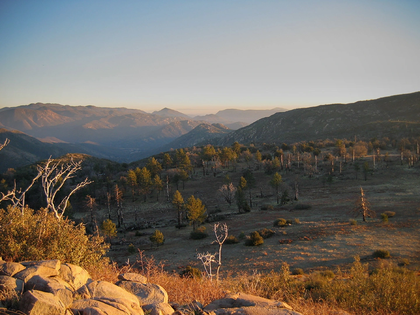 An image depicting the trail Bear Canyon Trail, Bear Ridge Trail and Verdugo Trail and its surrounding area.
