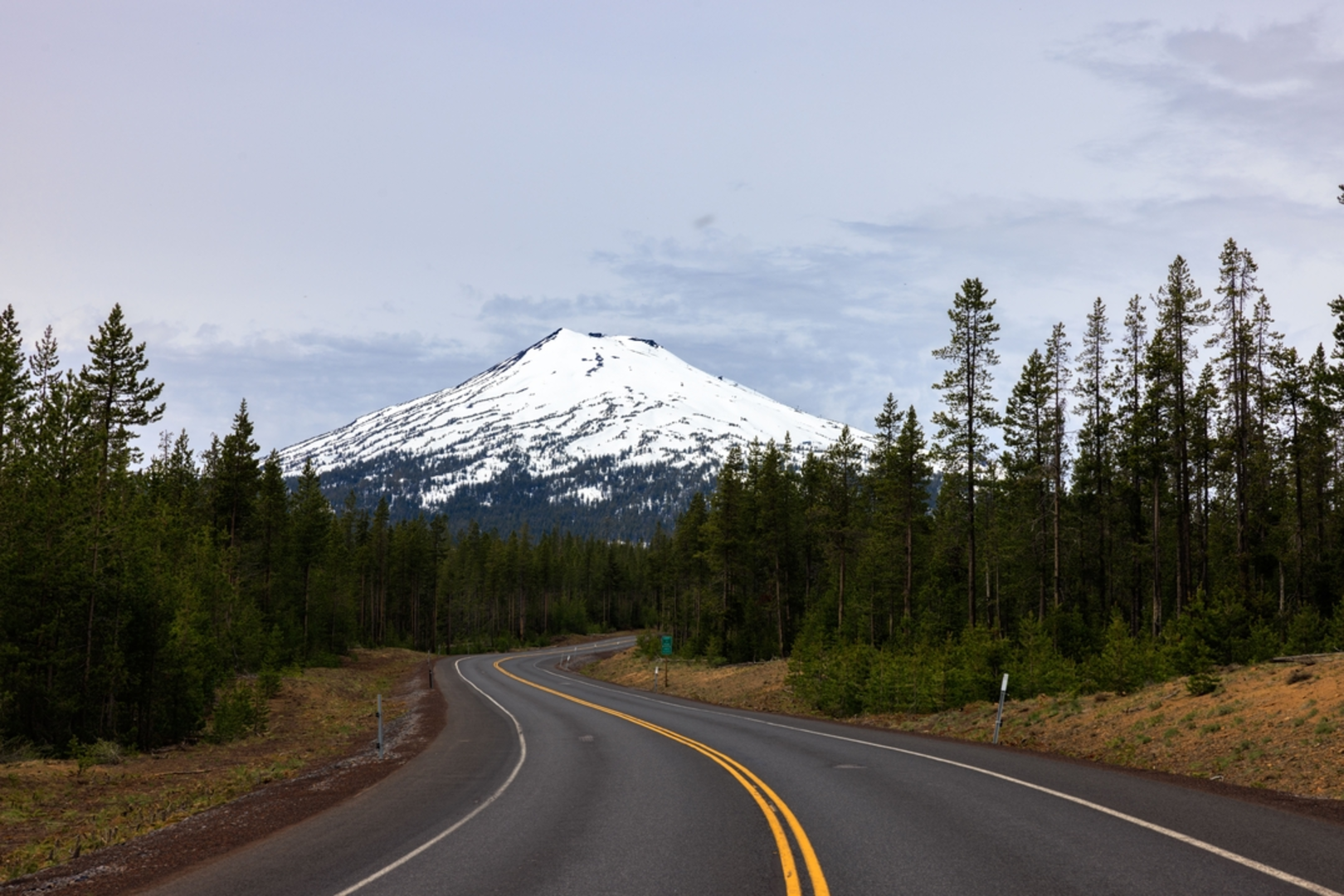 An image depicting the trail Mount Bachelor Trail and its surrounding area.