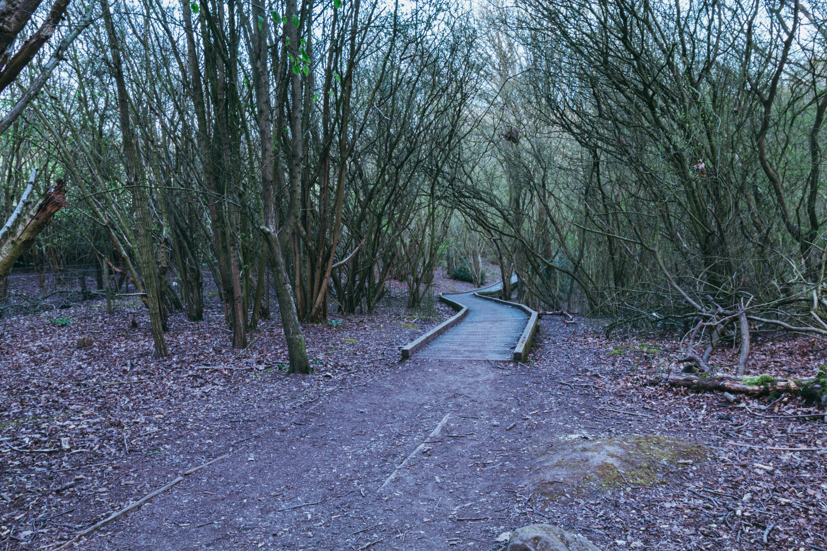 An image depicting the trail Ticknall - Calke Park and Foremark Reservoir and its surrounding area.