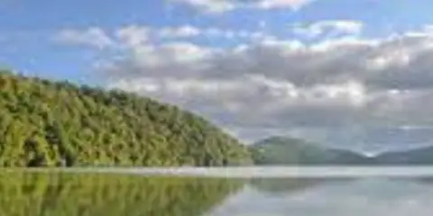 An image depicting the trail Manuoha to Waikareiti Track and its surrounding area.