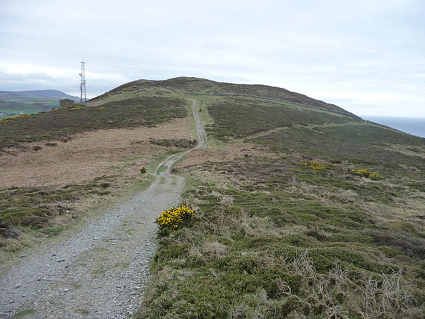 An image depicting the trail Corrin Wood and its surrounding area.