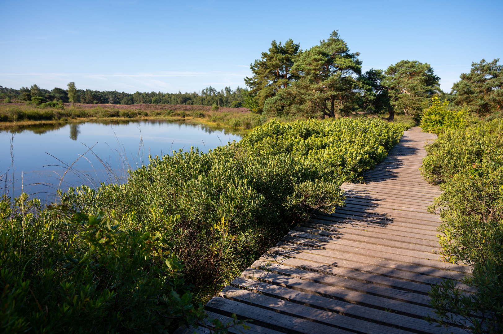 An image depicting the trail De Breul and Klein Heidestein Loop and its surrounding area.