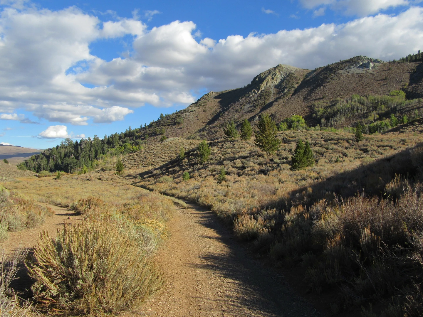 An image depicting the trail Secret Lake Loop and its surrounding area.