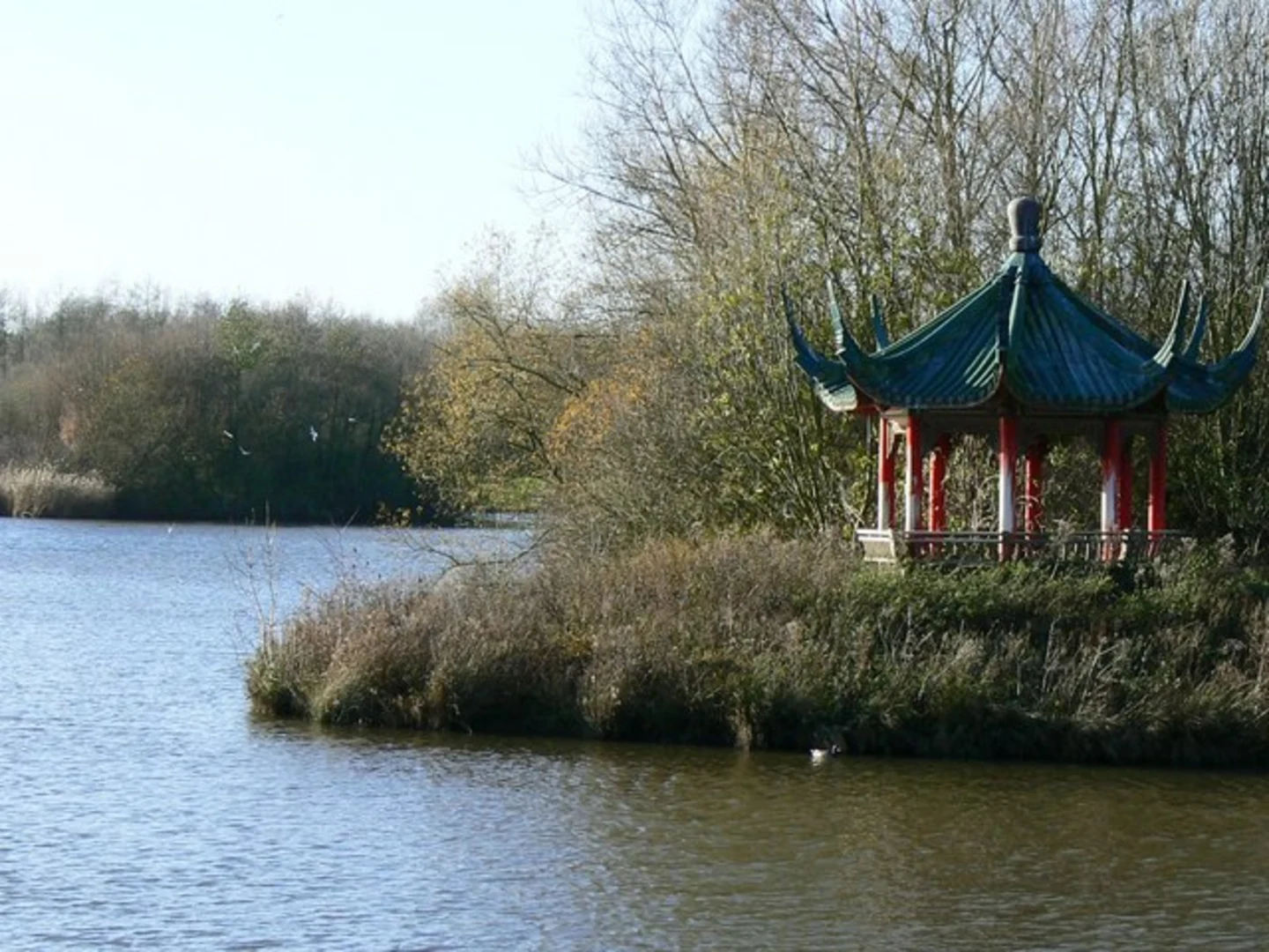 An image depicting the trail Swindon Western Loop and its surrounding area.