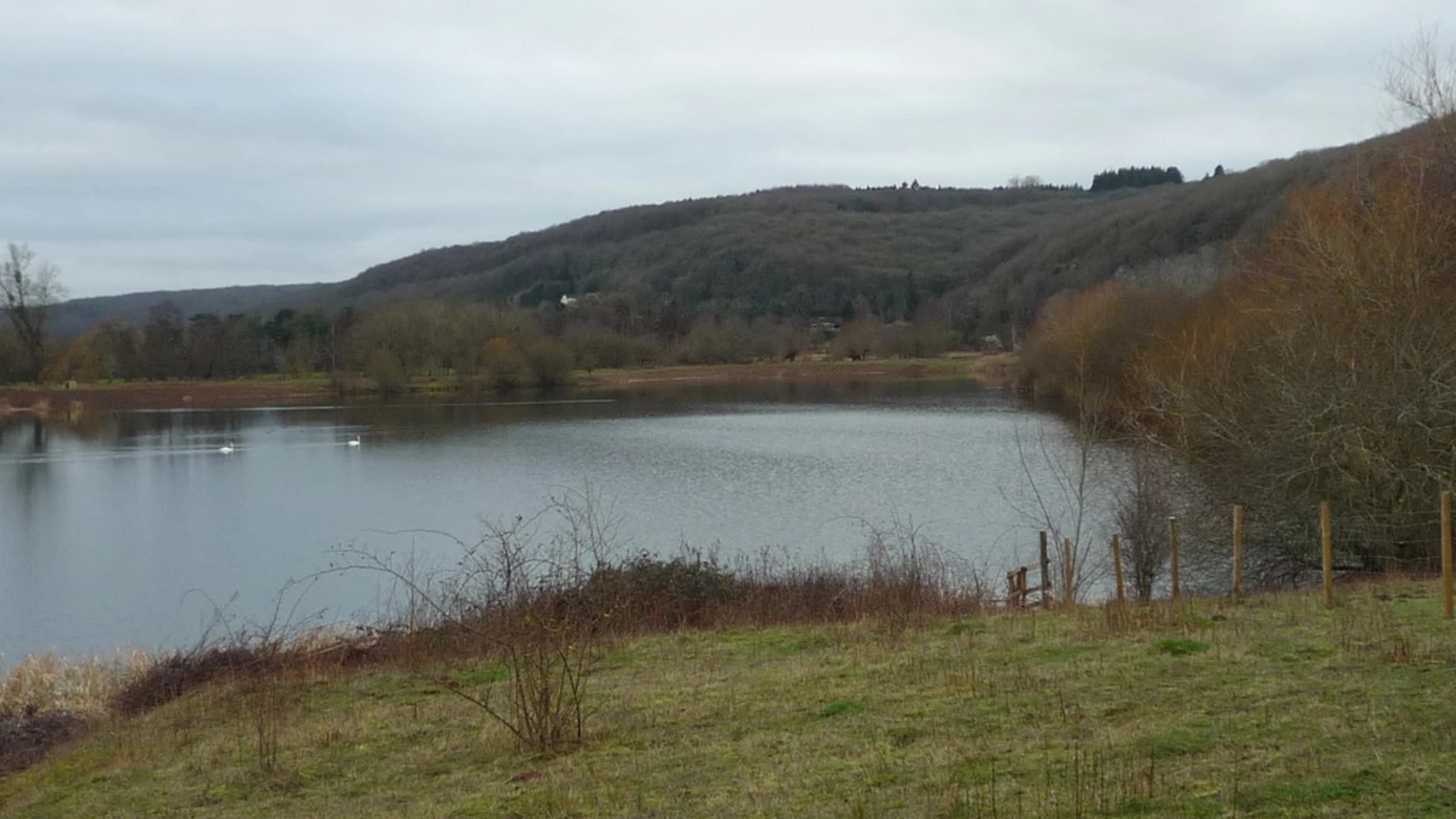 An image depicting the trail Bodenham Lake and its surrounding area.