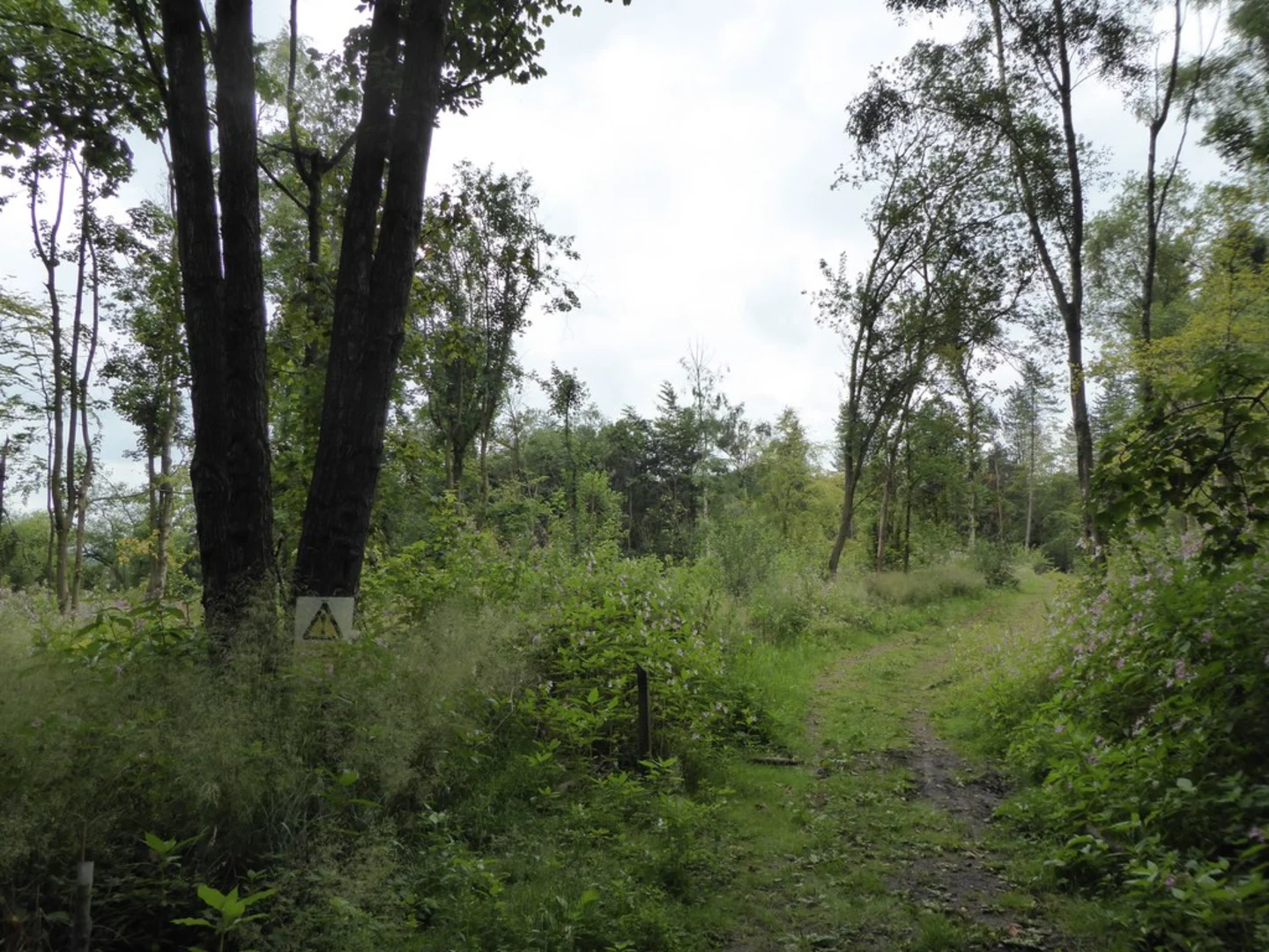 An image depicting the trail Springpool Wood and Park Brook Loop and its surrounding area.