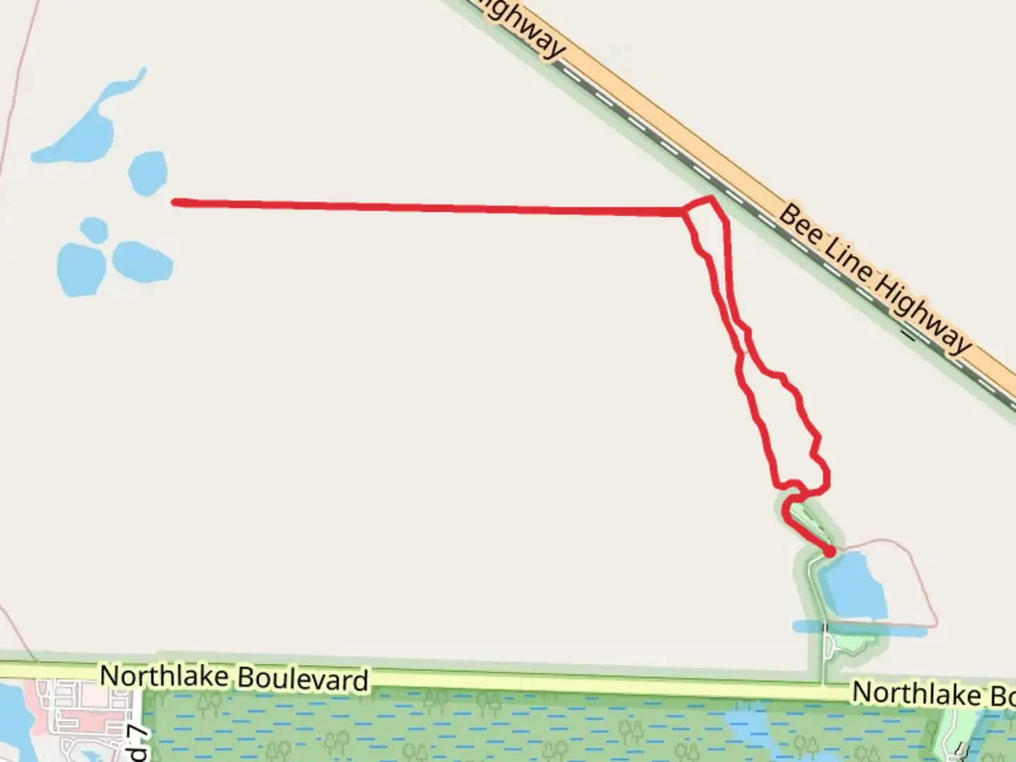 An image depicting the trail Hog Hammock and Promontory Trail and its surrounding area.