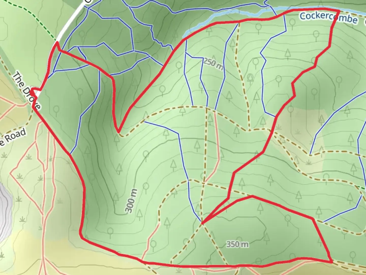 An image depicting the trail Light Gate and The Slades Loop and its surrounding area.