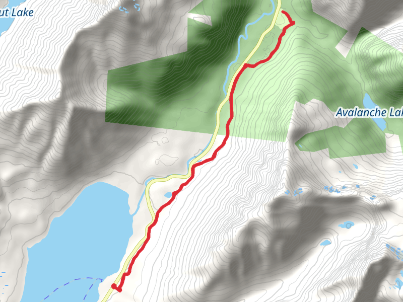 Avalanche Campground and Trail of the Cedars