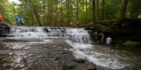 Fall Brook Loop Trail