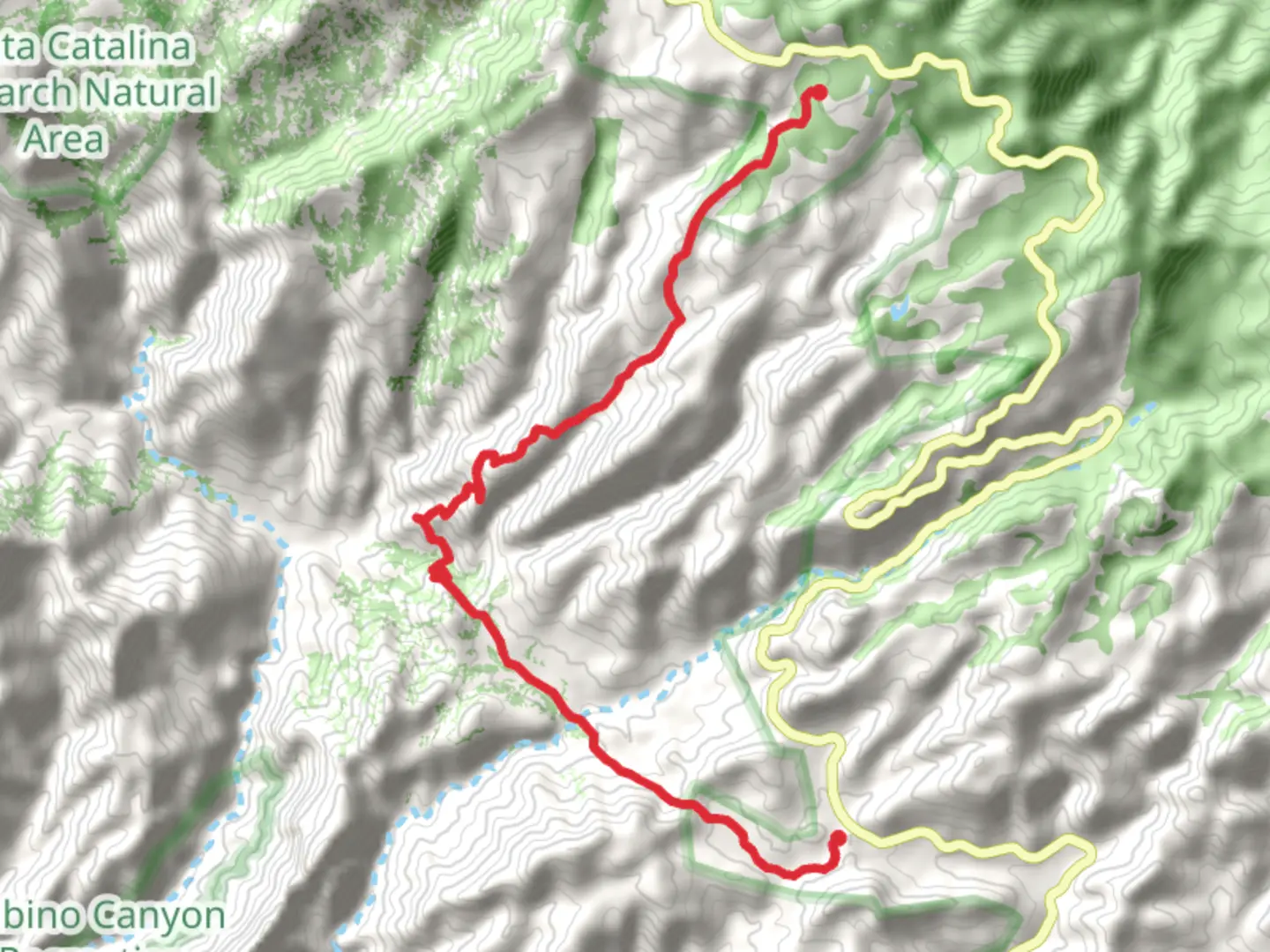 An image depicting the trail Arizona and Palisades Trail and its surrounding area.