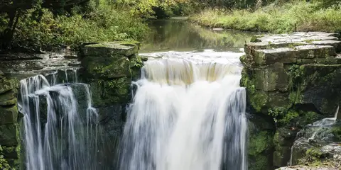 An image depicting the trail River Tyne South Alternative via River Tyne Trail and its surrounding area.