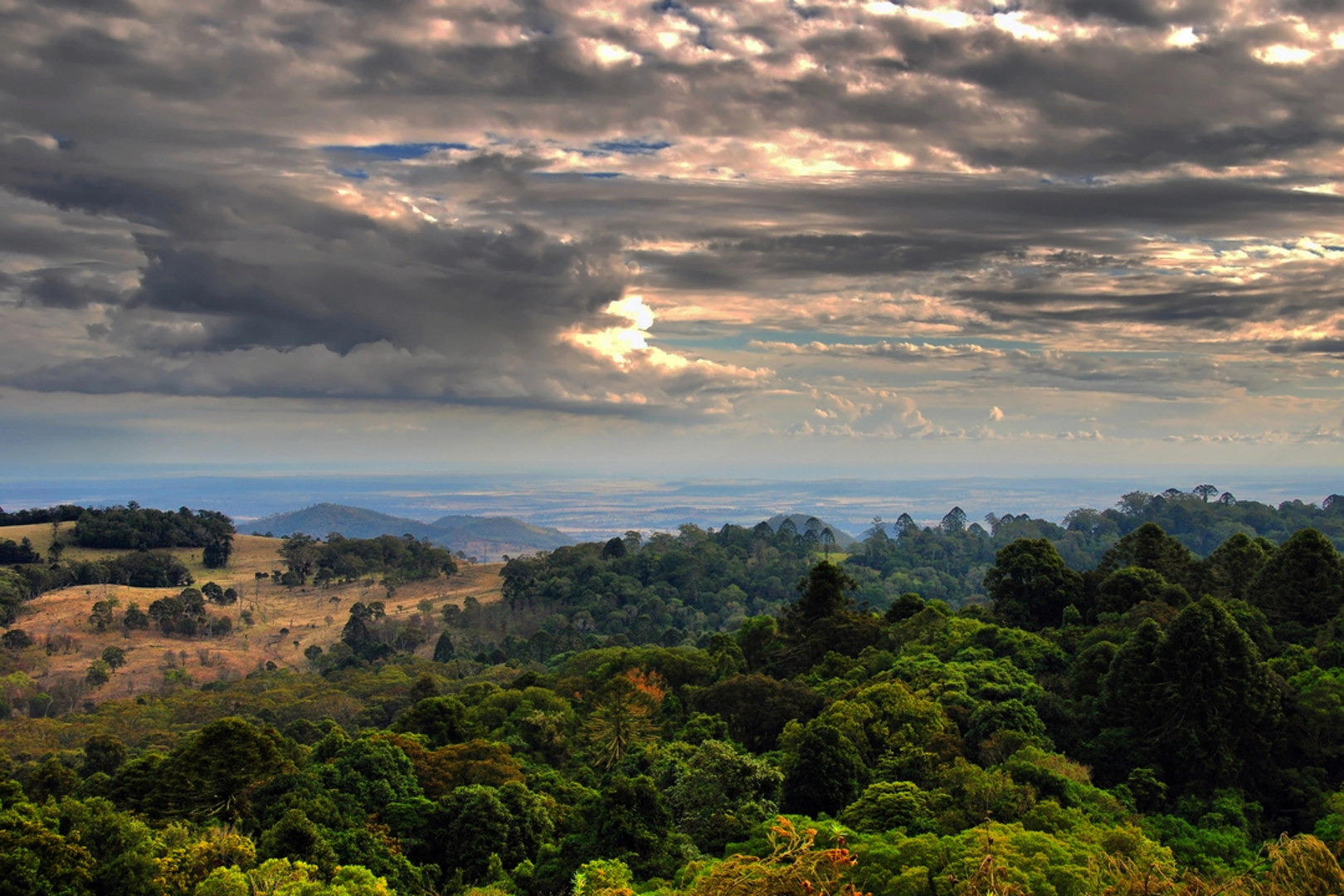 An image depicting the trail Barker Creek Lookout Track and its surrounding area.