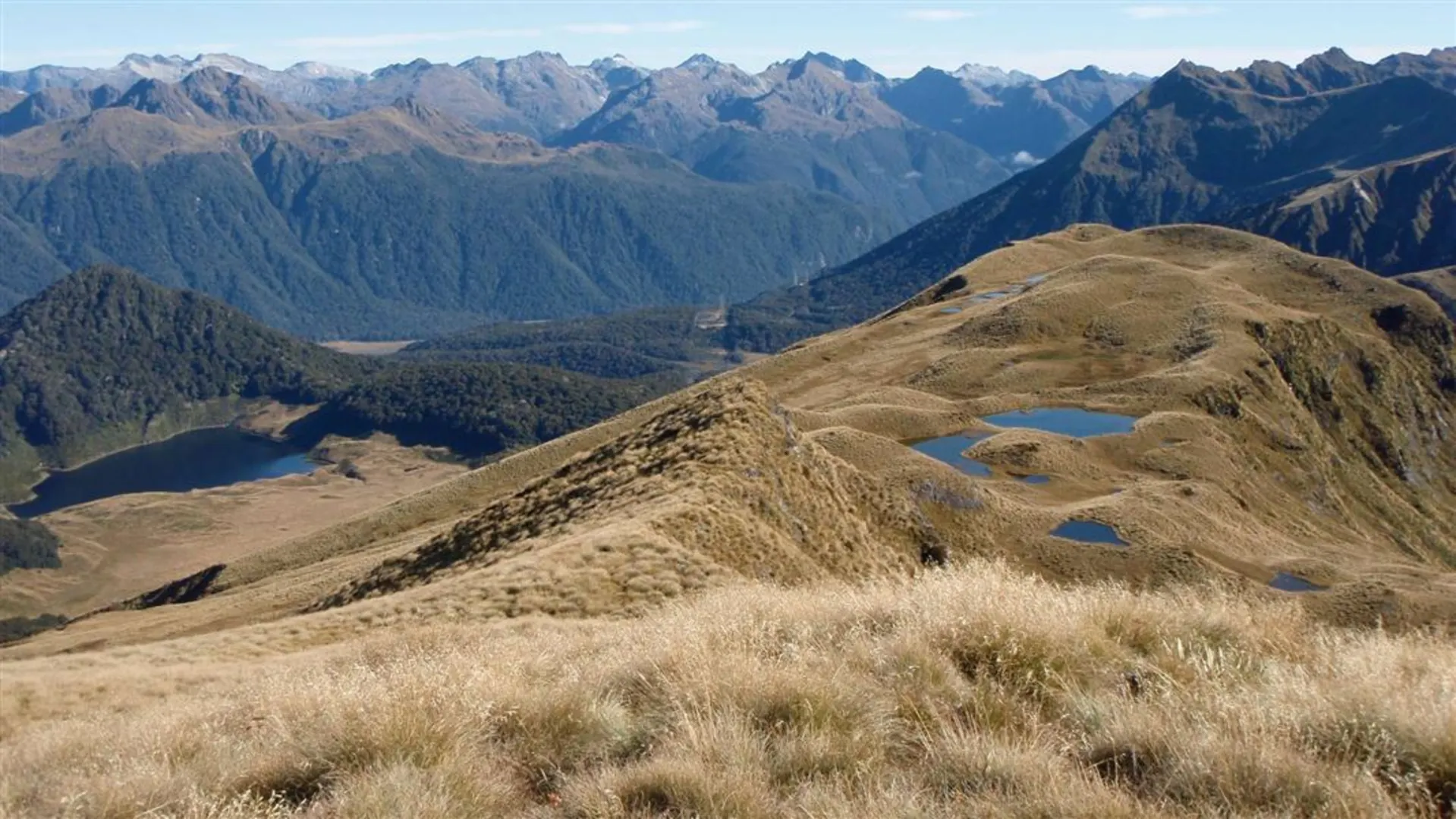 An image depicting the trail Mt Burns Tarns Track and its surrounding area.