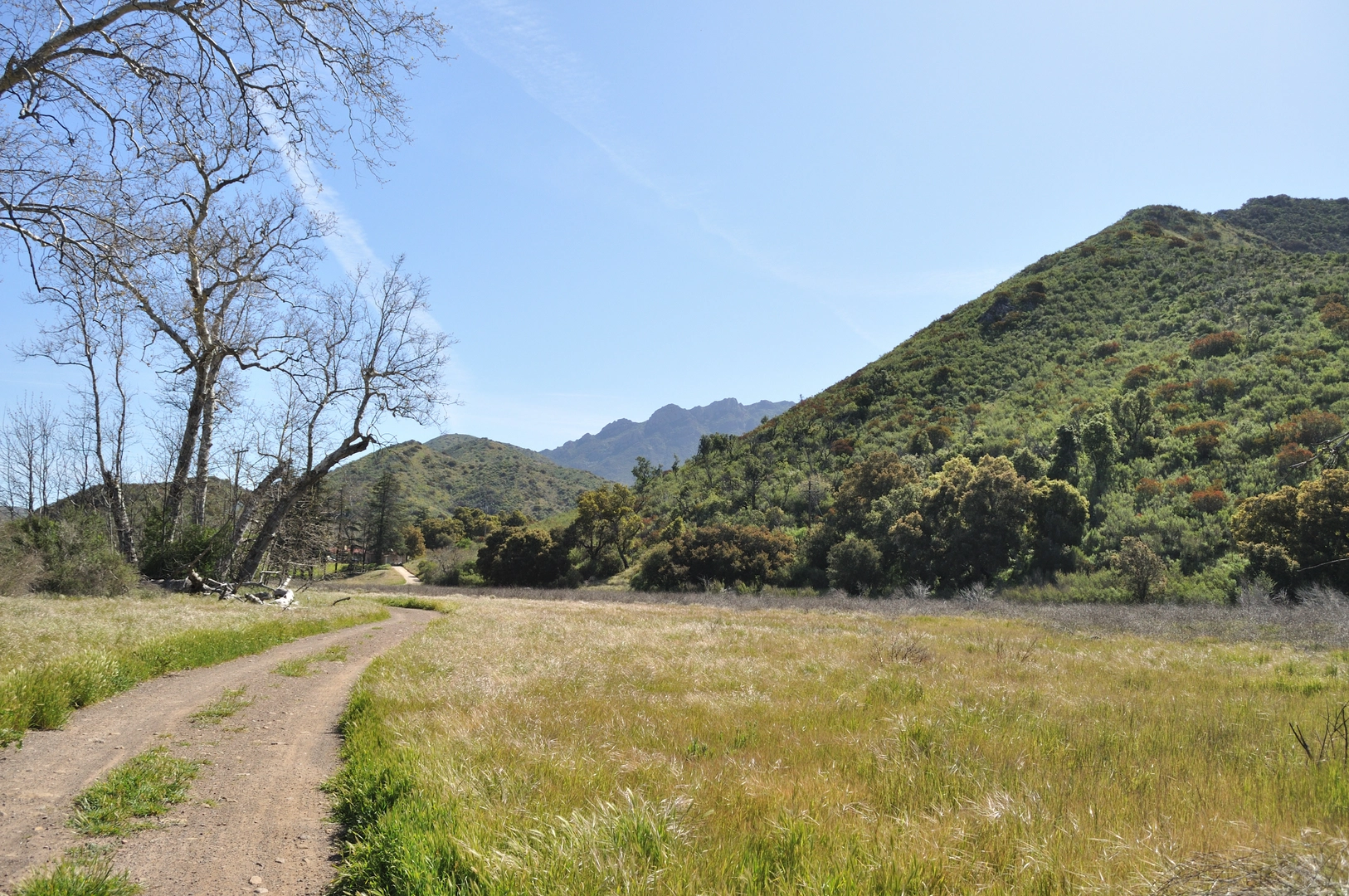 An image depicting the trail Sycamore Canyon Fire Road and its surrounding area.