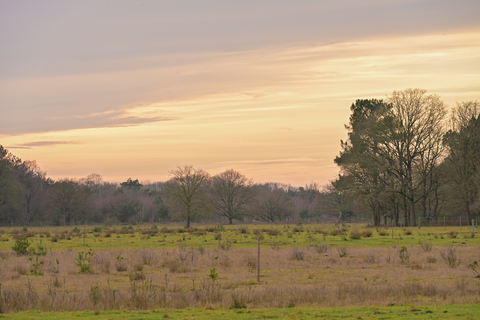 Hertogenpad, Millsebaan and Heufse Weg