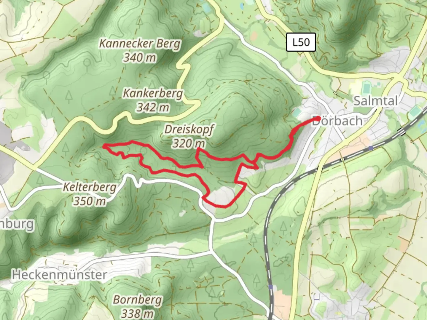 An image depicting the trail Mineralquelle Loop via Salmtal and its surrounding area.