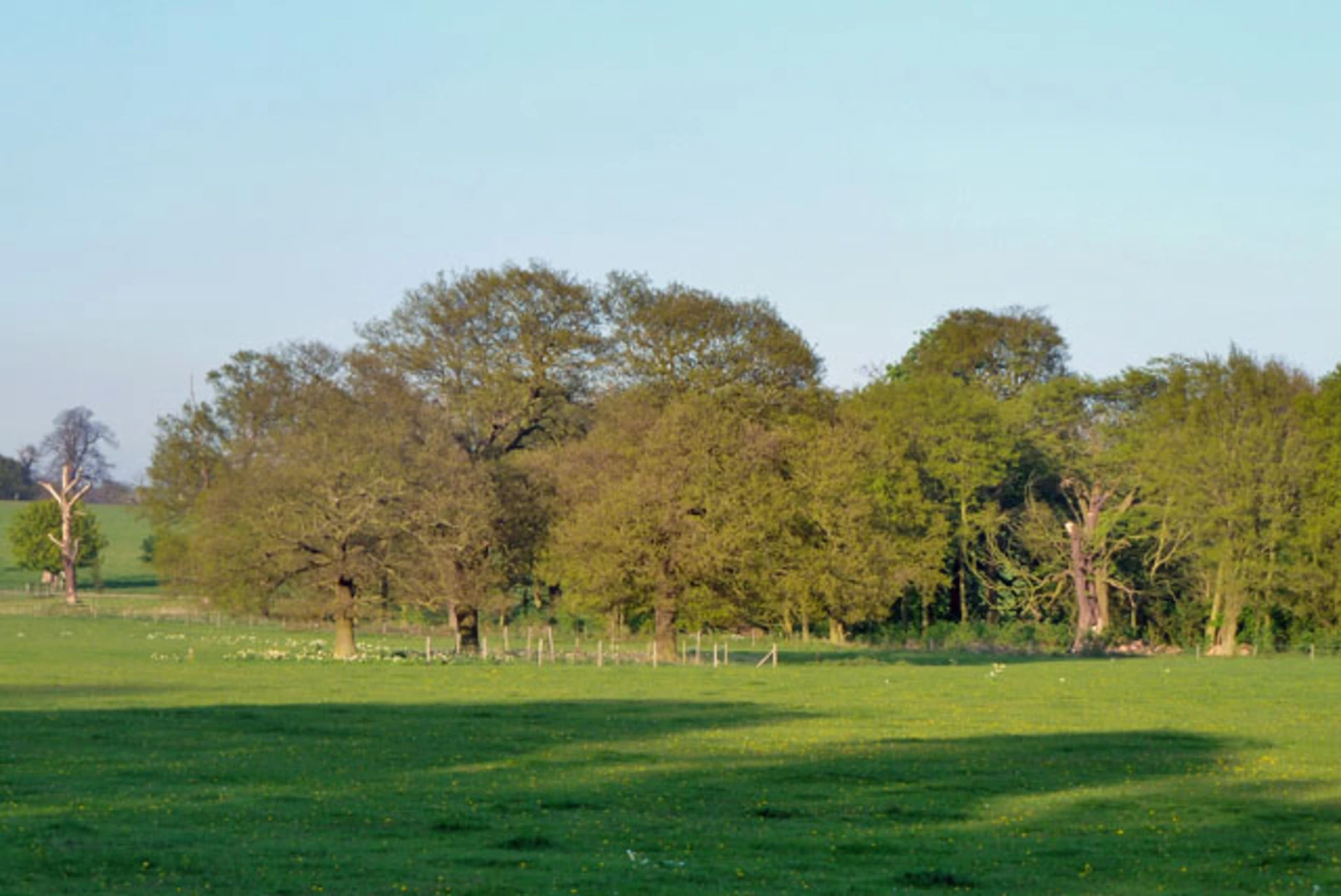 An image depicting the trail Great Wood and Ranscombe Farm Loop and its surrounding area.