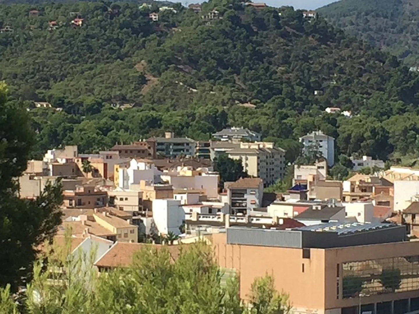 An image depicting the trail Salt Route PR CV 329 and its surrounding area.