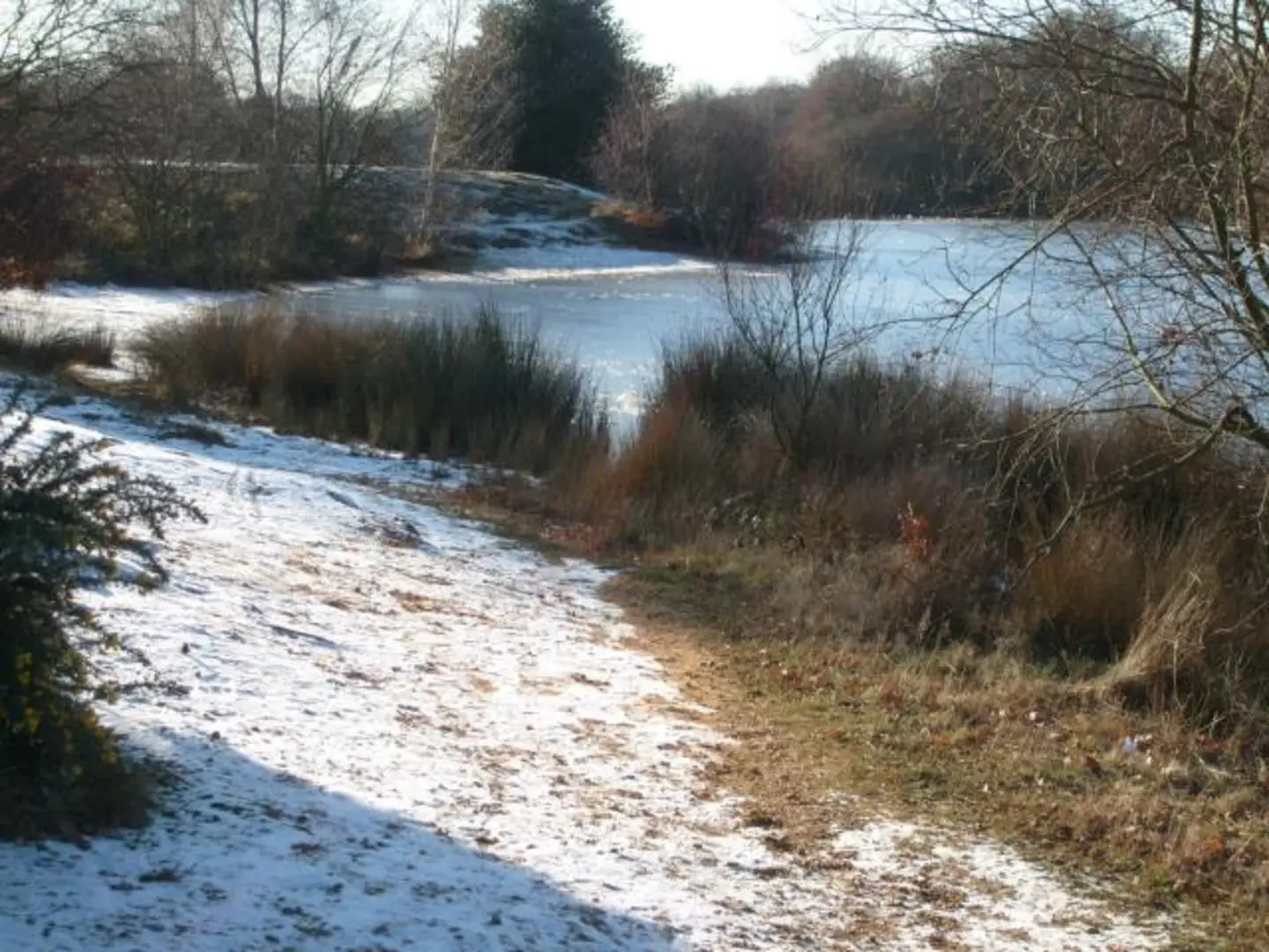 An image depicting the trail Gilbert's Slade and Hollow Pond Loop and its surrounding area.