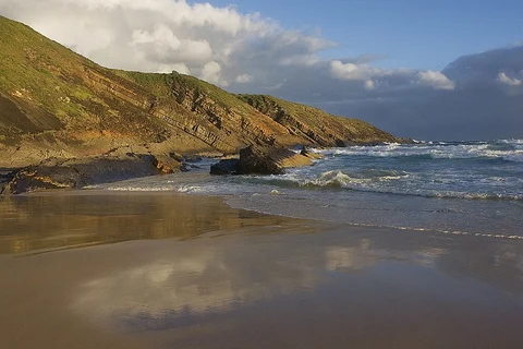 Treachery Headland Track