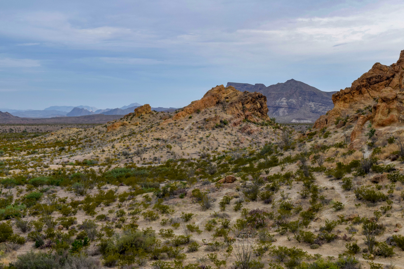 An image depicting the trail Chimneys Trail and its surrounding area.