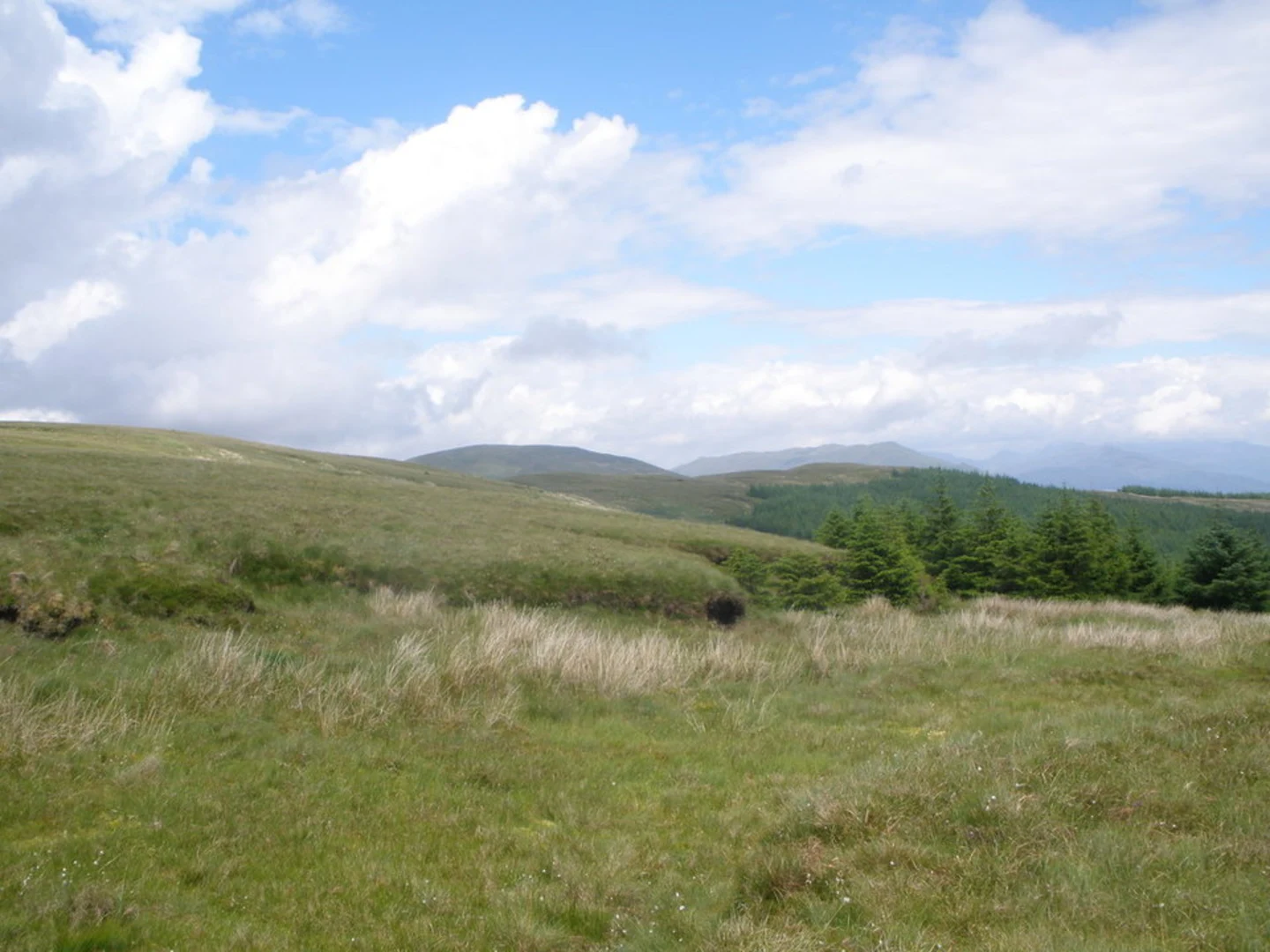An image depicting the trail Eucalyptus Loop Trail and its surrounding area.