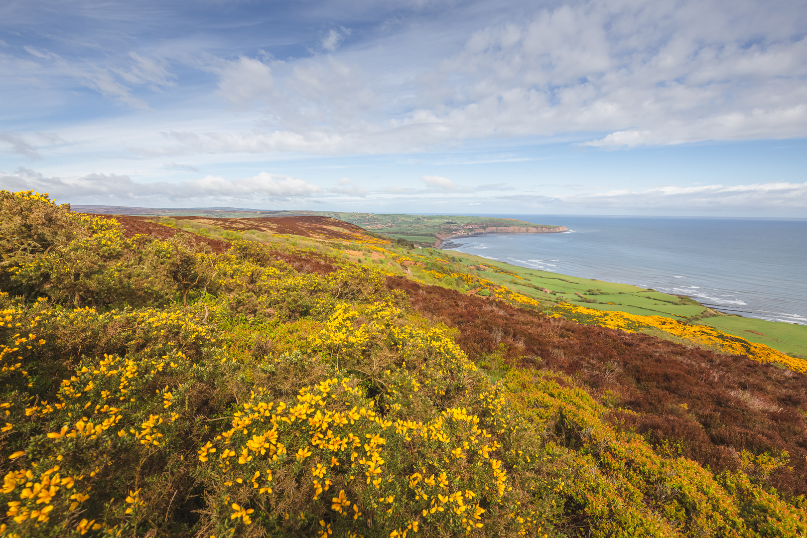 An image depicting the trail Ravenscar to Robin Hood's Bay Walk and its surrounding area.