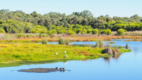An image depicting the trail Ghost House Walk Trail and its surrounding area.