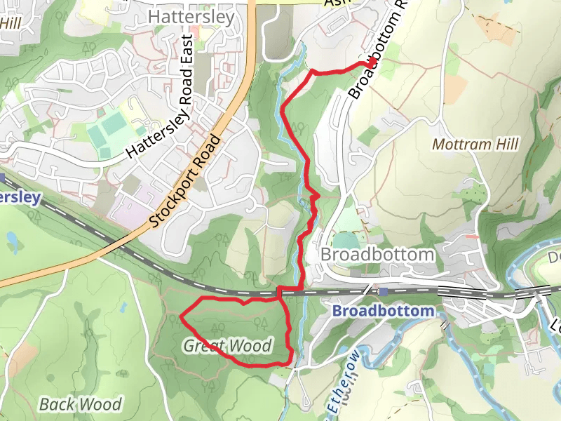 Great Wood Loop - Broadbottom