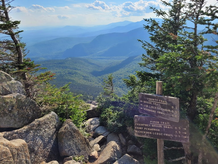 An image depicting the trail Piper Trail to Mount Chocorua Trail and its surrounding area.