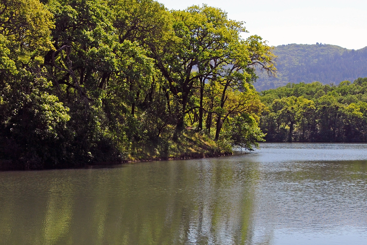 Suttonfield Lake Loop Trail